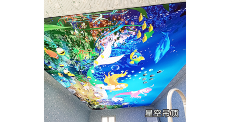 仙桃內(nèi)蒙張拉膜